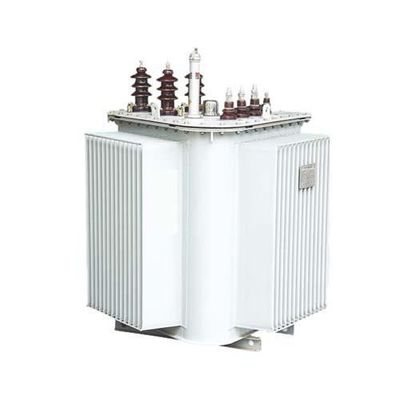 Βυθισμένος πετρέλαιο μετασχηματιστής 10/0.4KV 30-1600KVA S13 S14 MRL